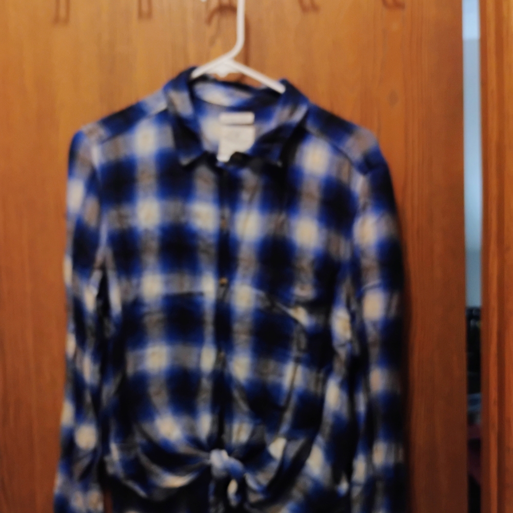 American Eagle Outfitters Blue and White Checkered Shirt